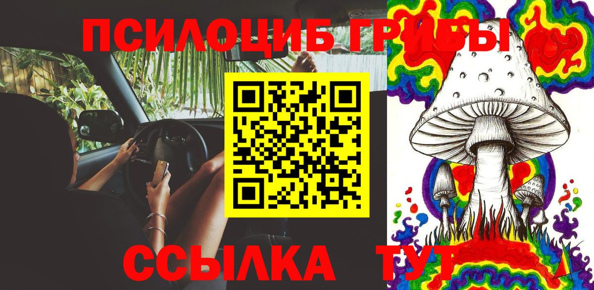 Псилоцибиновые грибы мухоморы  Псилоцибиновые грибы прущие грибы  закладка  Вход с VPN  Комсомольск-на-Амуре 